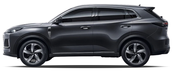 Звездный серый